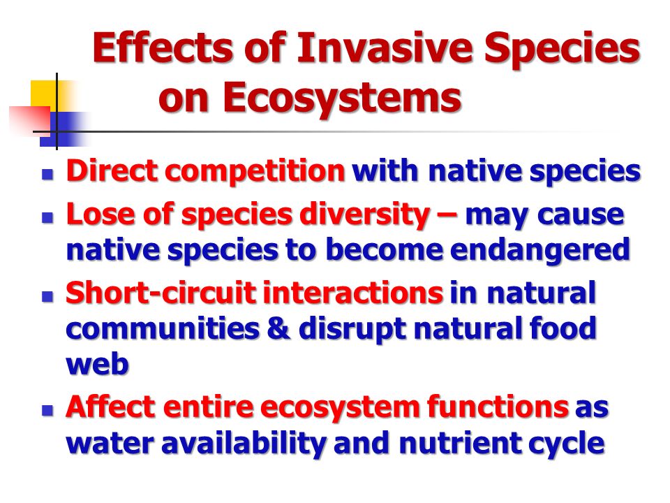 how do invasive species affect biodiversity